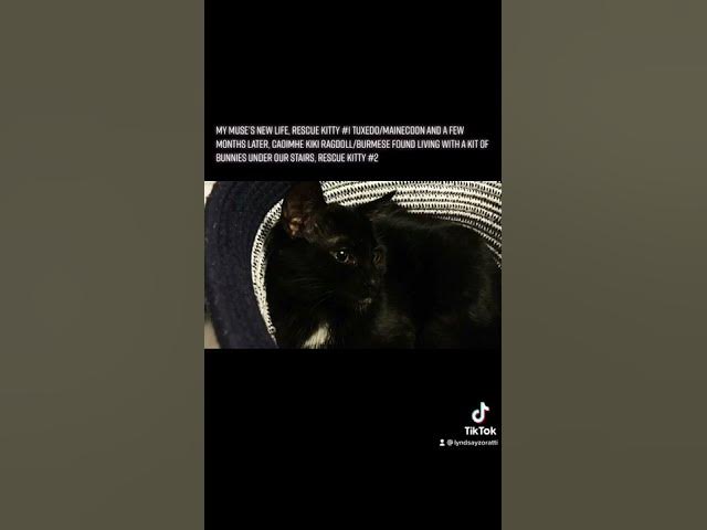 Video thumbnail for June 17, 2022