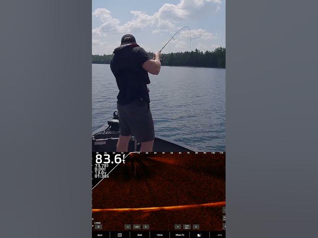 'Video thumbnail for What kind of fish pulled drag like this?! #fishing #garminfishhunt'