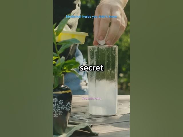 Video thumbnail for Medicinal herbs you didn’t know #MedicinalHerbs #NaturalRemedies #HerbalMedicine #HealingHerbs