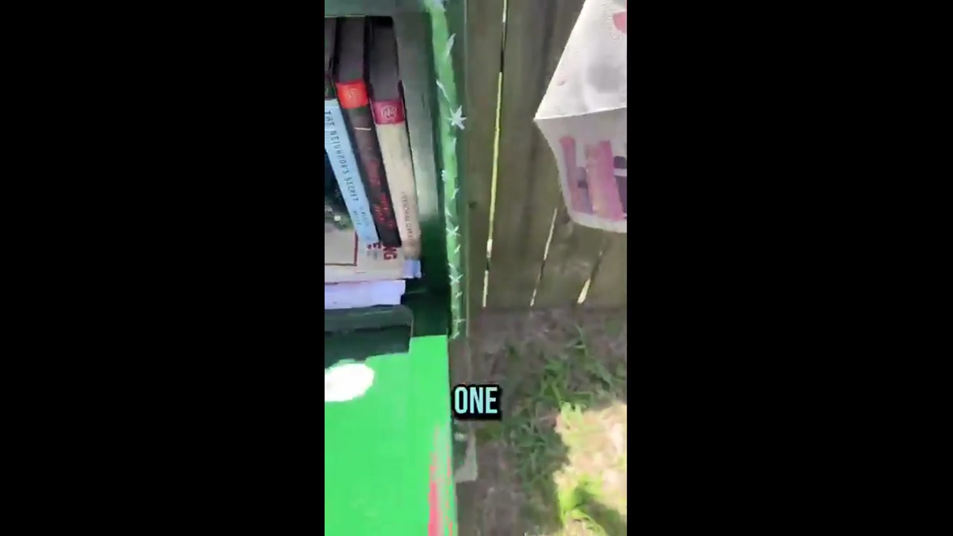 'Video thumbnail for budget girl: culling disallowed items from little free libraries'
