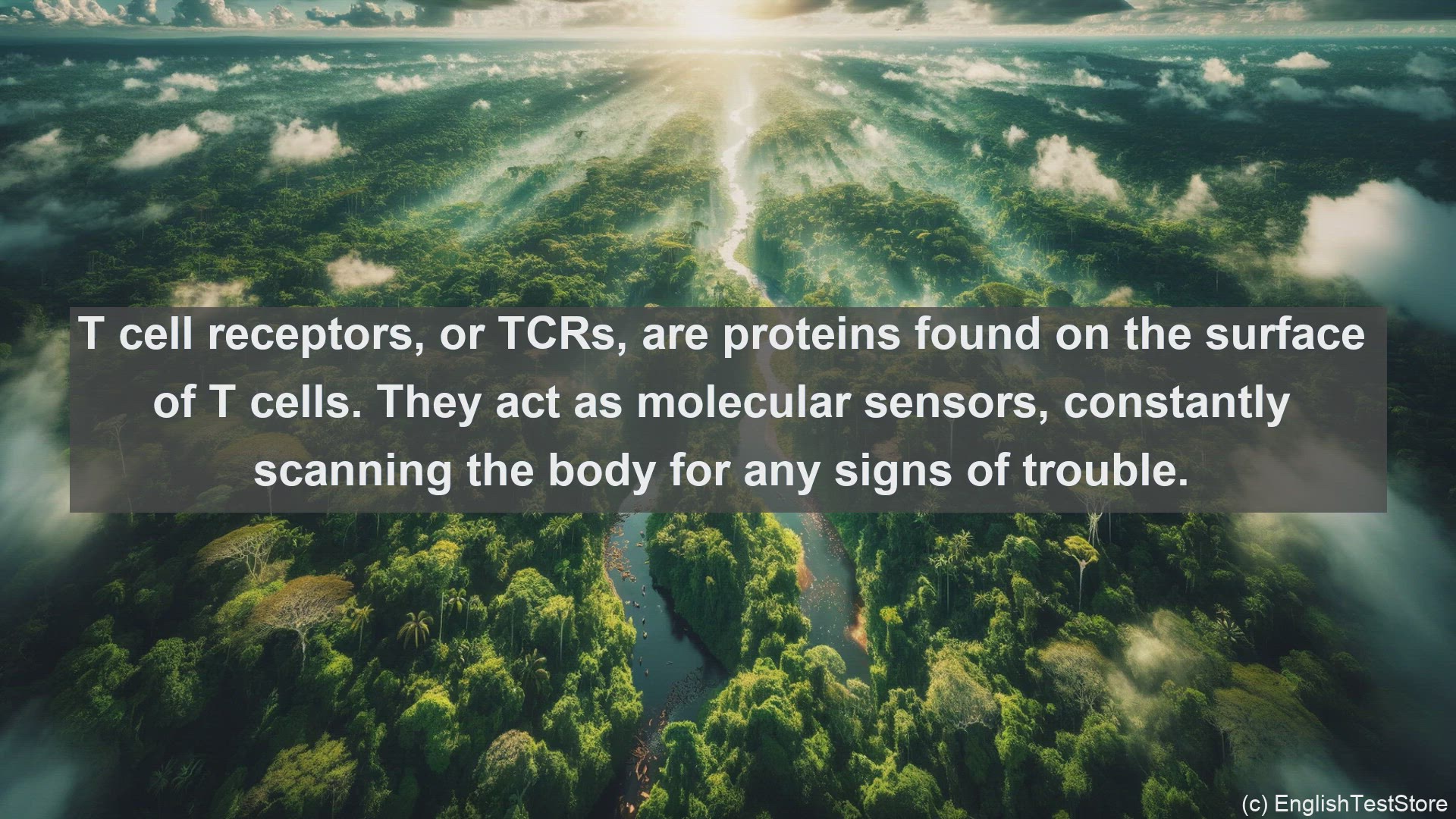'Video thumbnail for T cell receptors in science  definition and examples'