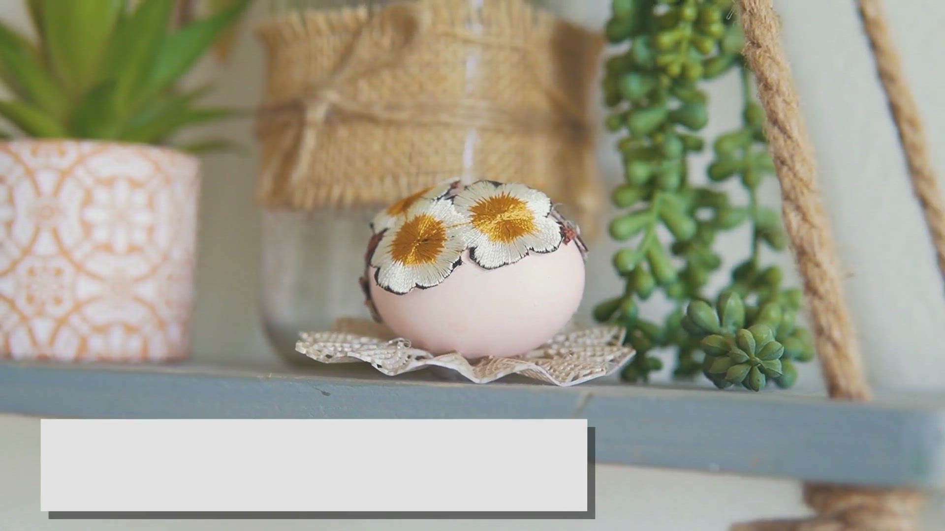 Video thumbnail for Maximizing Small Spaces with Indoor Plants: A Comprehensive Guide