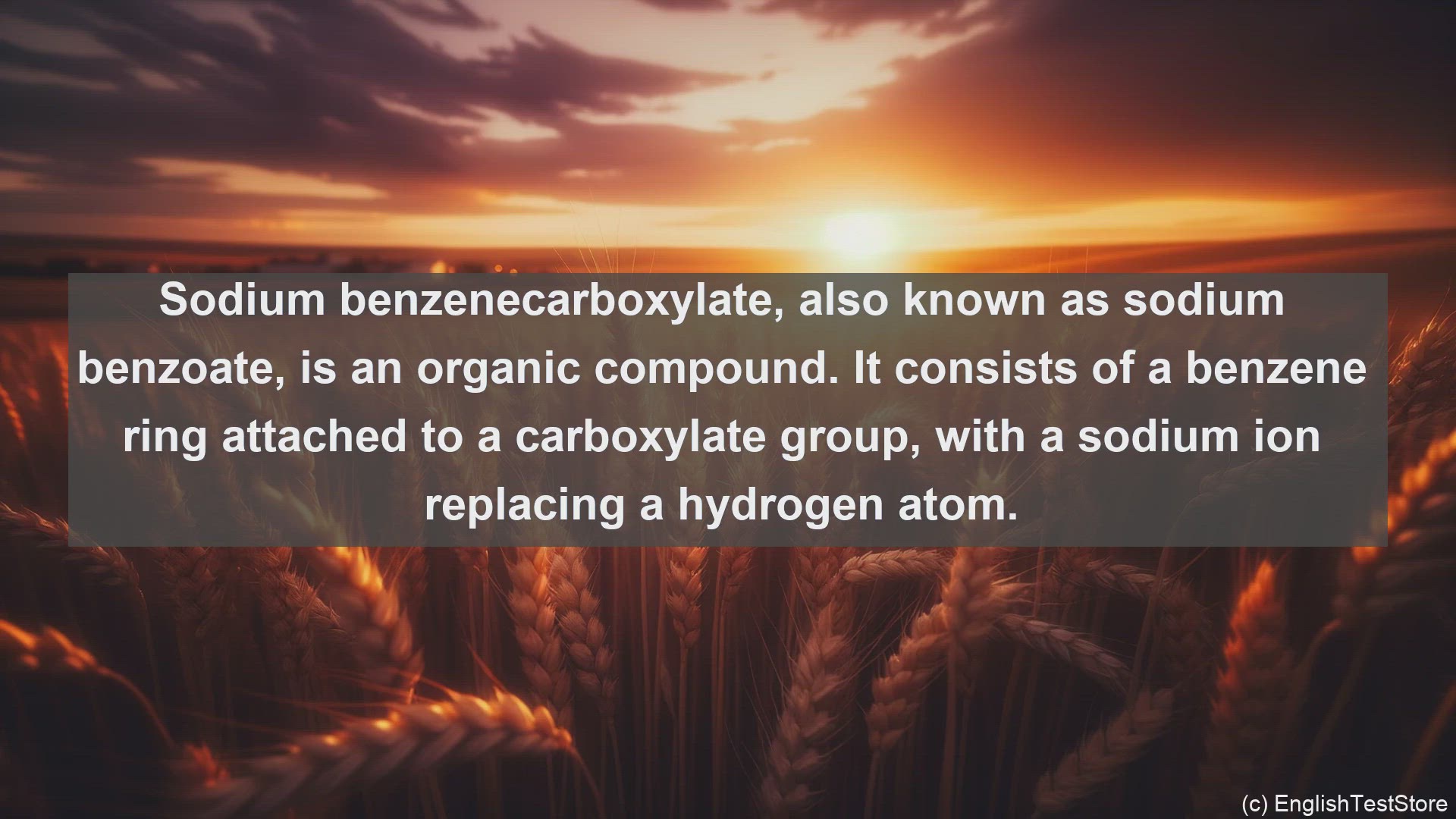 'Video thumbnail for Sodium benzenecarboxylate in science  definition and examples'