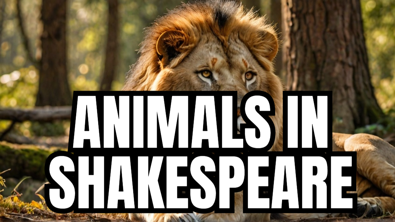 'Video thumbnail for Shakespeare's Animals'