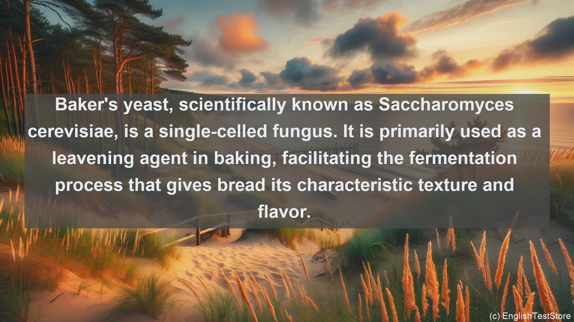 'Video thumbnail for Baker yeast in science  definition and examples'