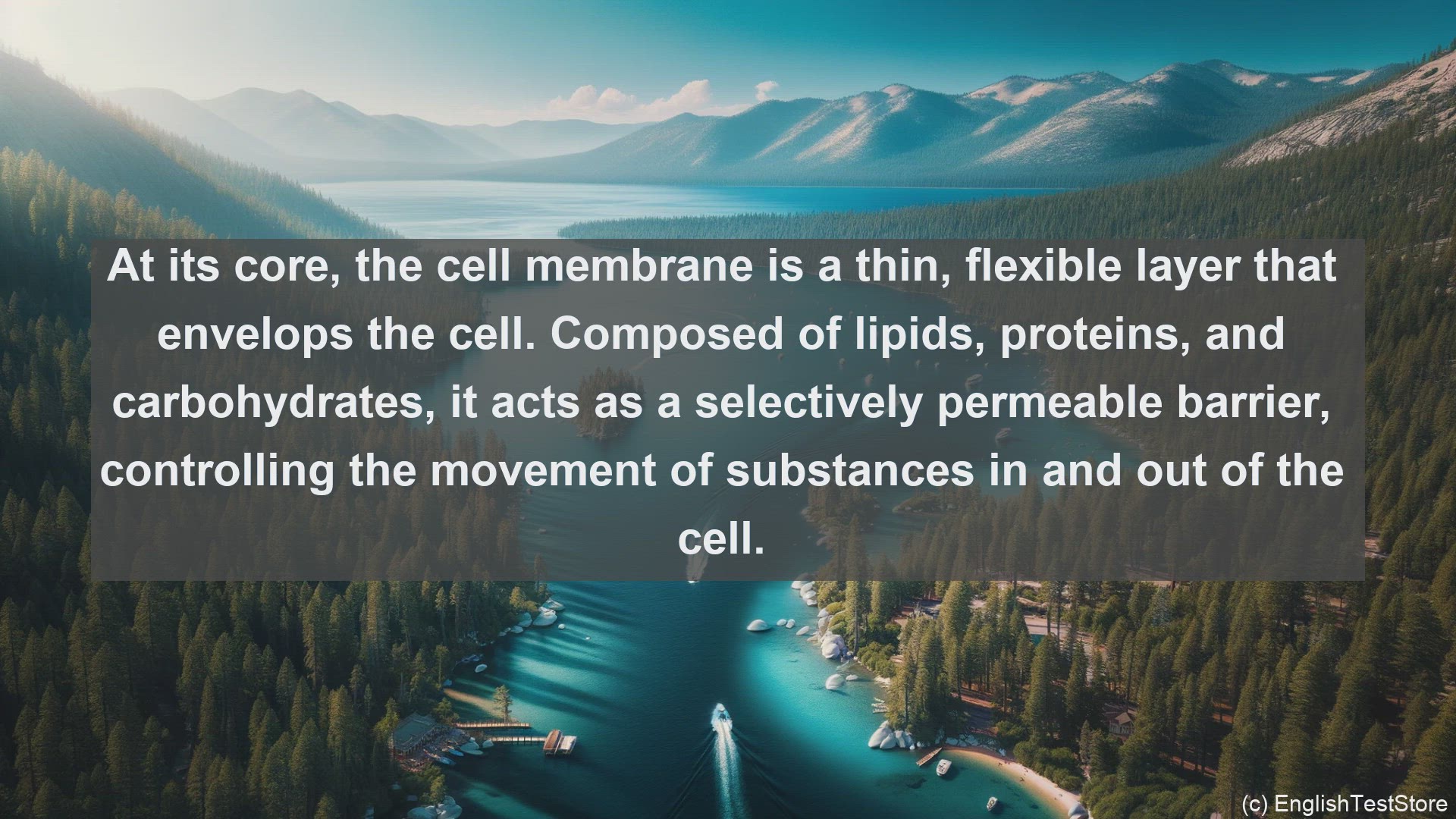 'Video thumbnail for Cell membrane in science  definition and examples'