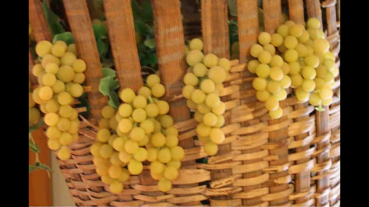 'Video thumbnail for Apfelwein und Weinprobe in Quebec'