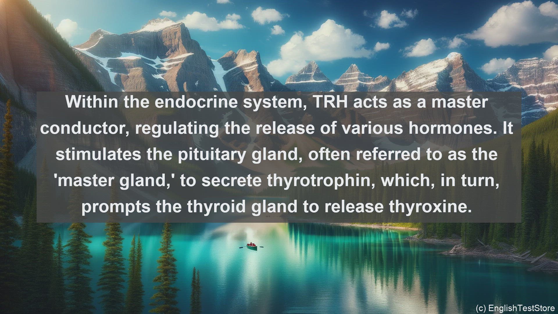 'Video thumbnail for Thyrotrophin releasing hormone in science  definition and examples'