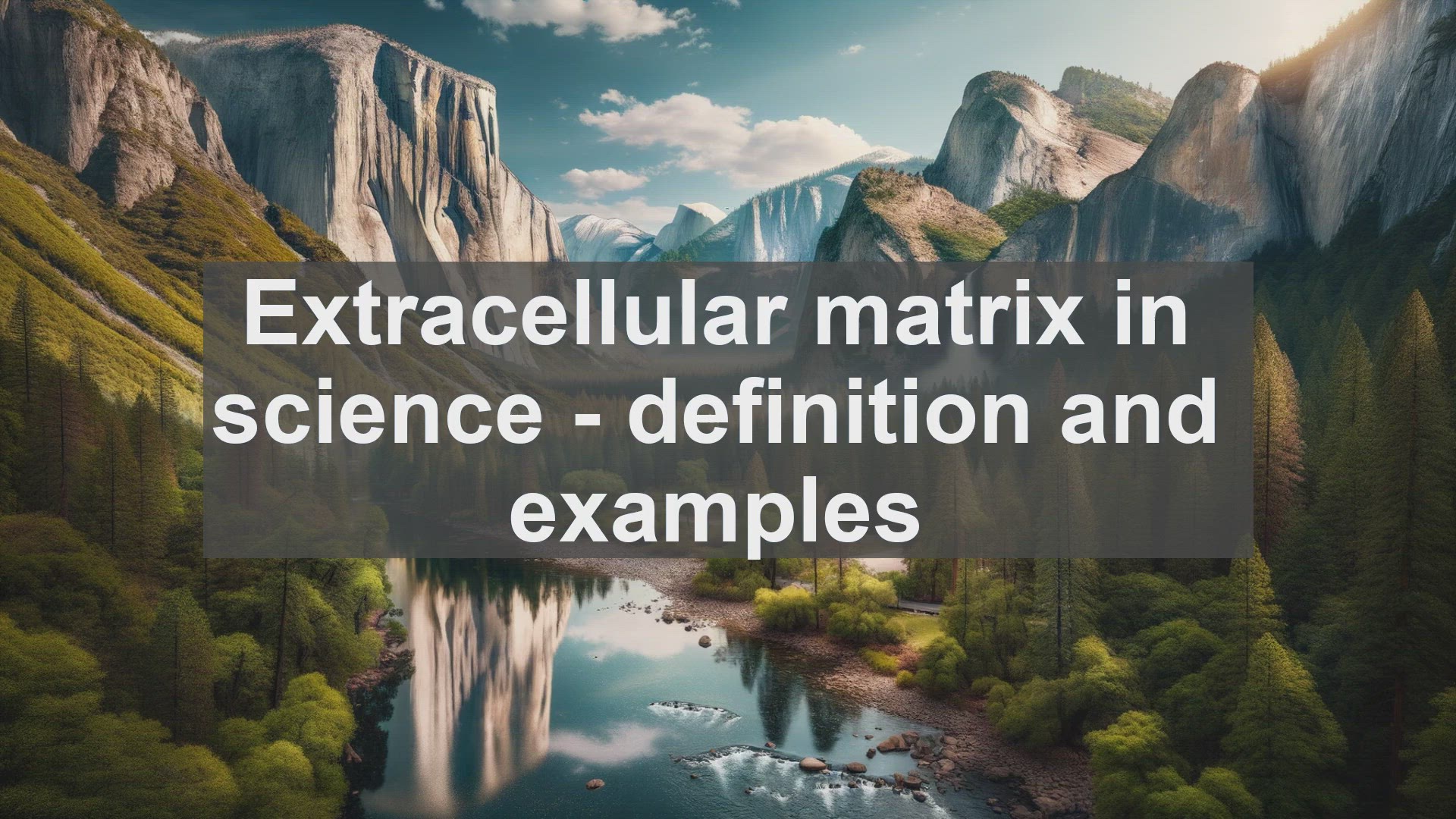 'Video thumbnail for Extracellular matrix in science  definition and examples'