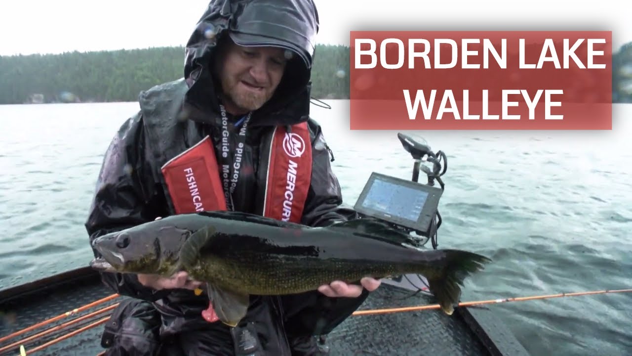 Fishing Videos - Walleye DVDs