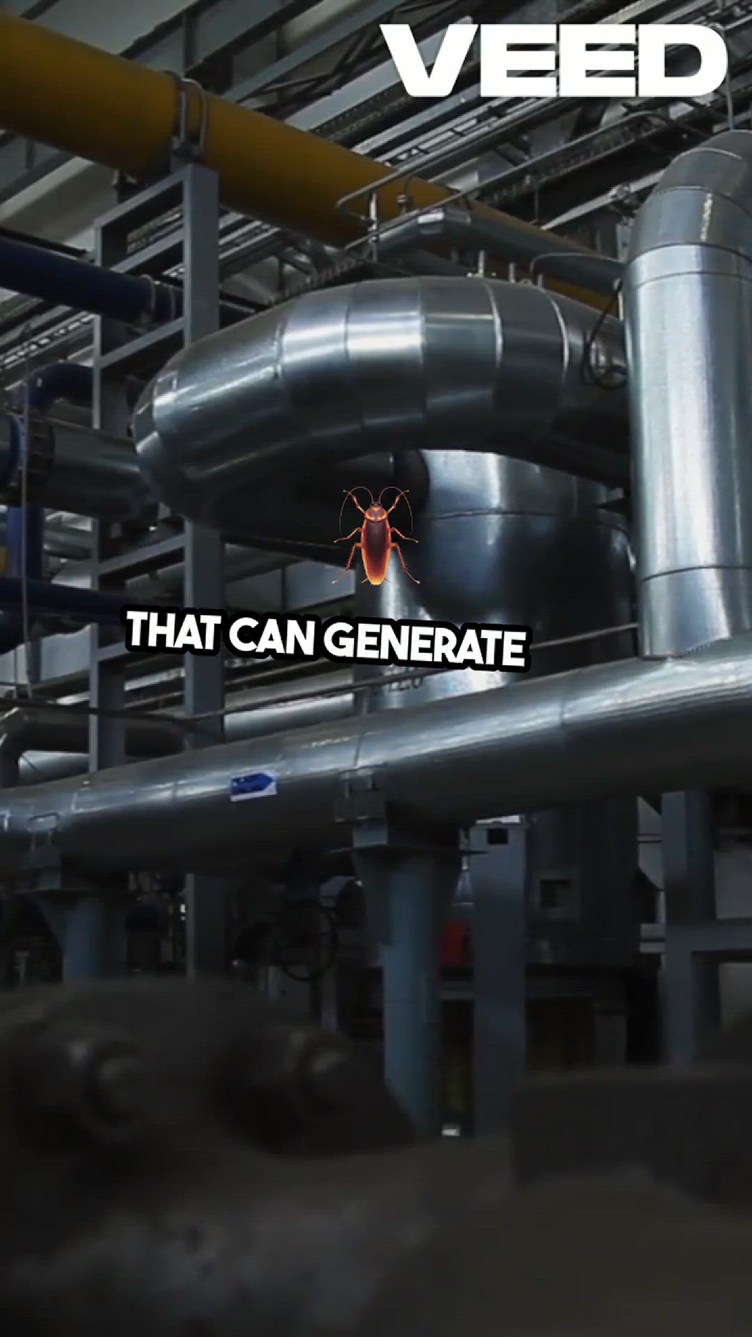 Video thumbnail for 10 Mind-Blowing Bacteria Facts Revealed!