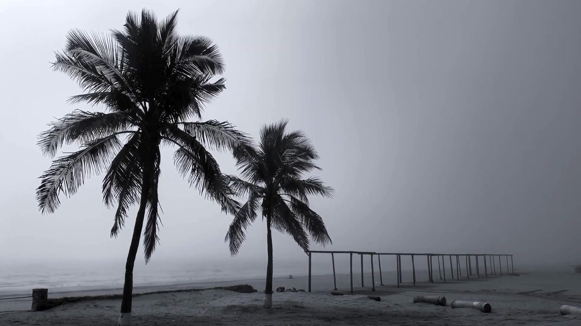 'Video thumbnail for The Saffir-Simpson Hurricane Wind Scale: Categorizing Storm Intensity Based on Wind Speed'