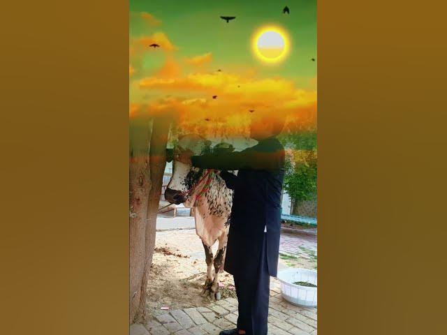 Video thumbnail for unfreeze my account please π₯Ί