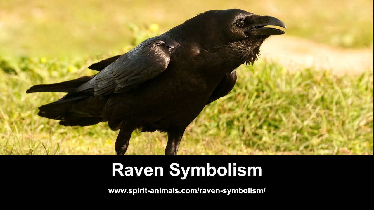 Man plays flute for raven, bird sings along with him. Watch