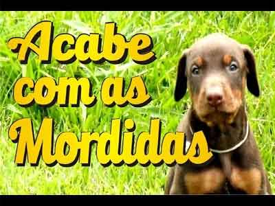 'Video thumbnail for Filhote - Não Morder'