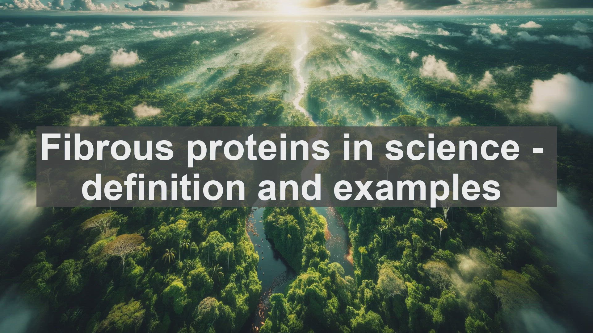 'Video thumbnail for Fibrous proteins in science  definition and examples'