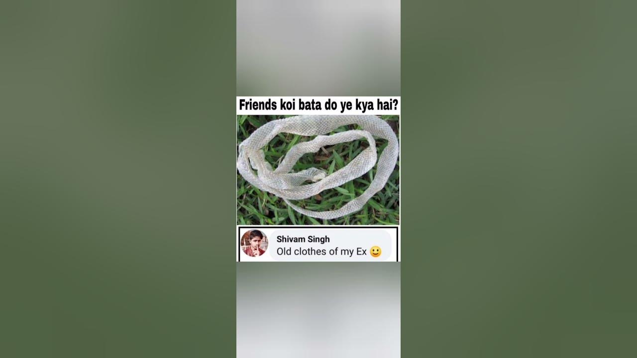 'Video thumbnail for funny memes that will make you laugh #446 || legend memes || funny relatable memes 😃 #shorts'