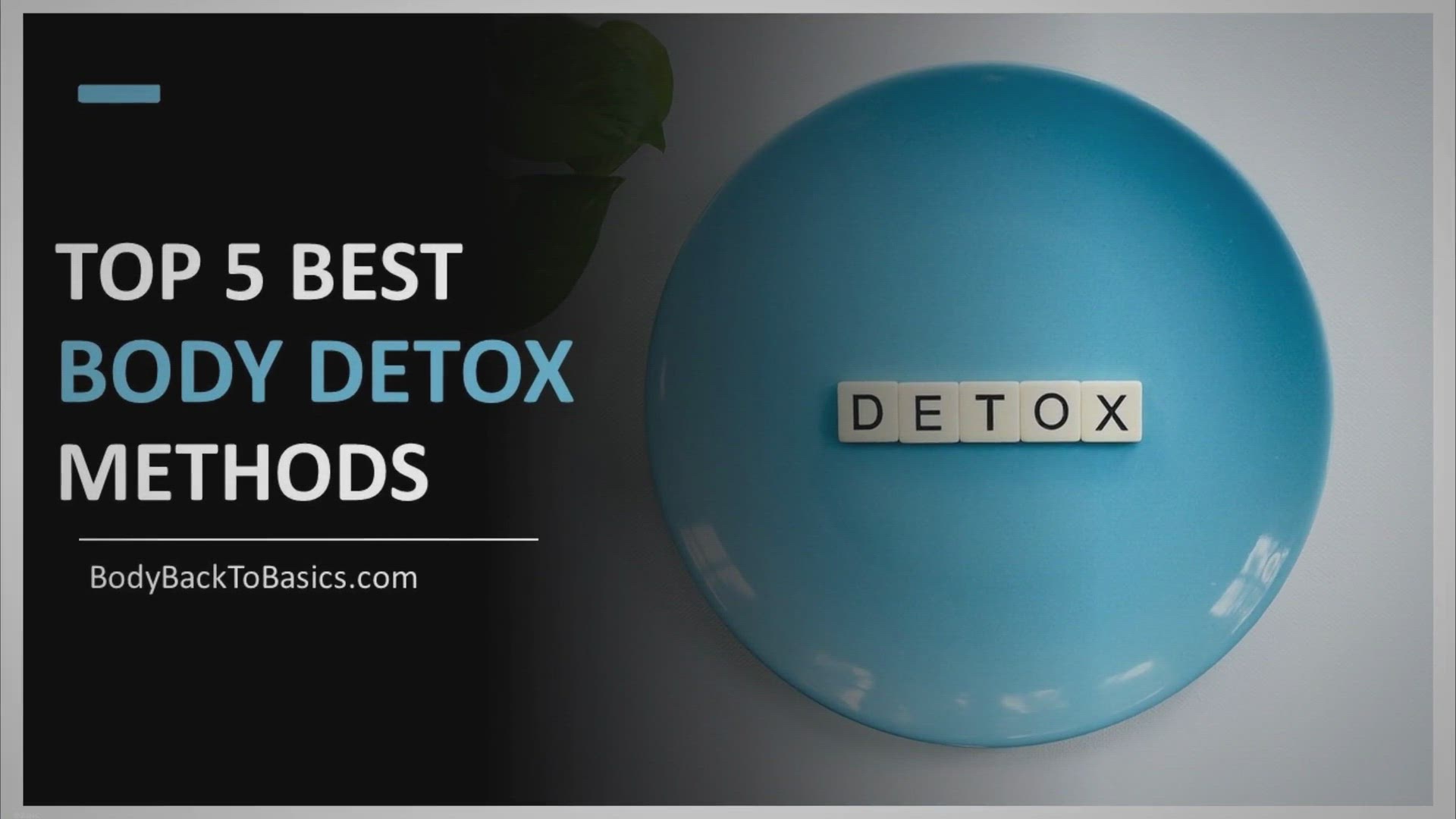 'Video thumbnail for The Ultimate Guide to Body Detoxification: Exploring the Best Methods for a Healthier You'