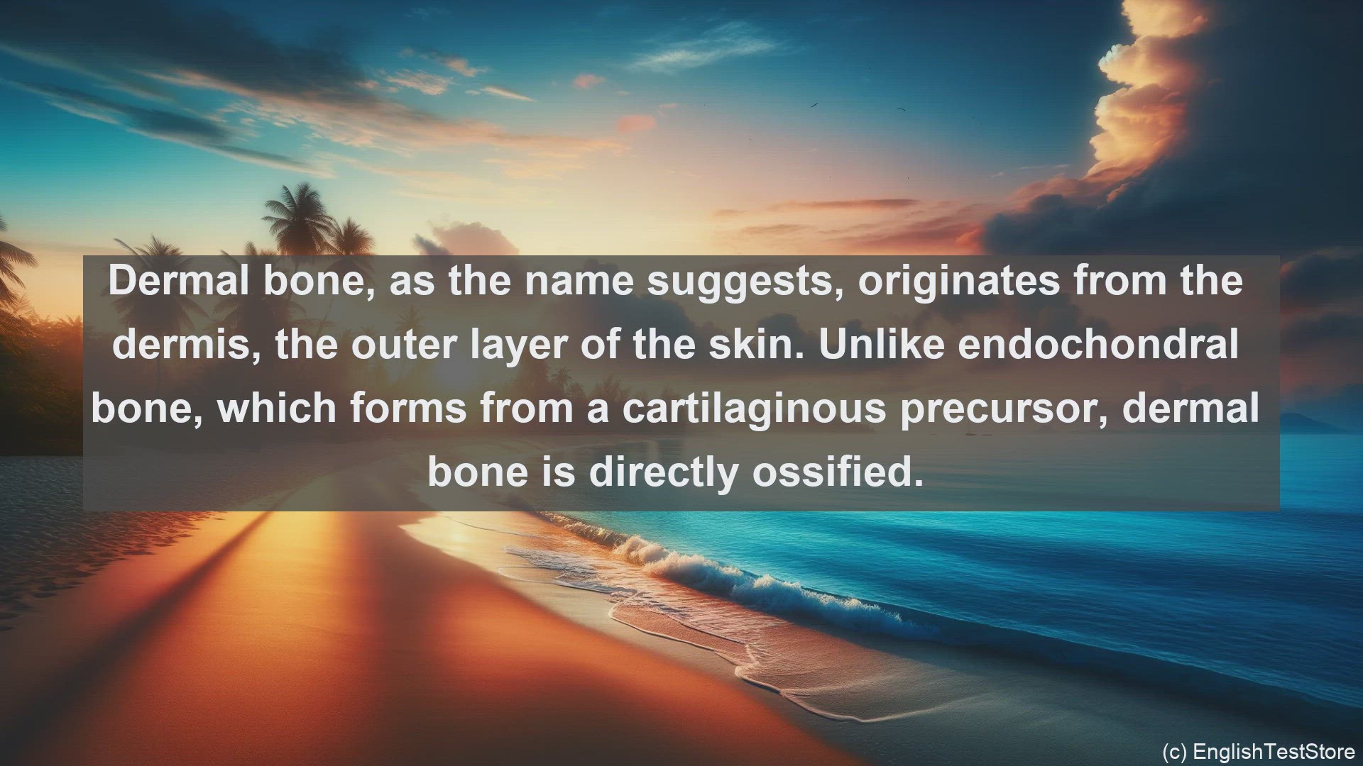 'Video thumbnail for Dermal bone in science  definition and examples'