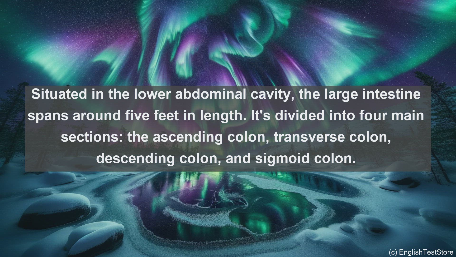 'Video thumbnail for Large intestine in science  definition and examples'