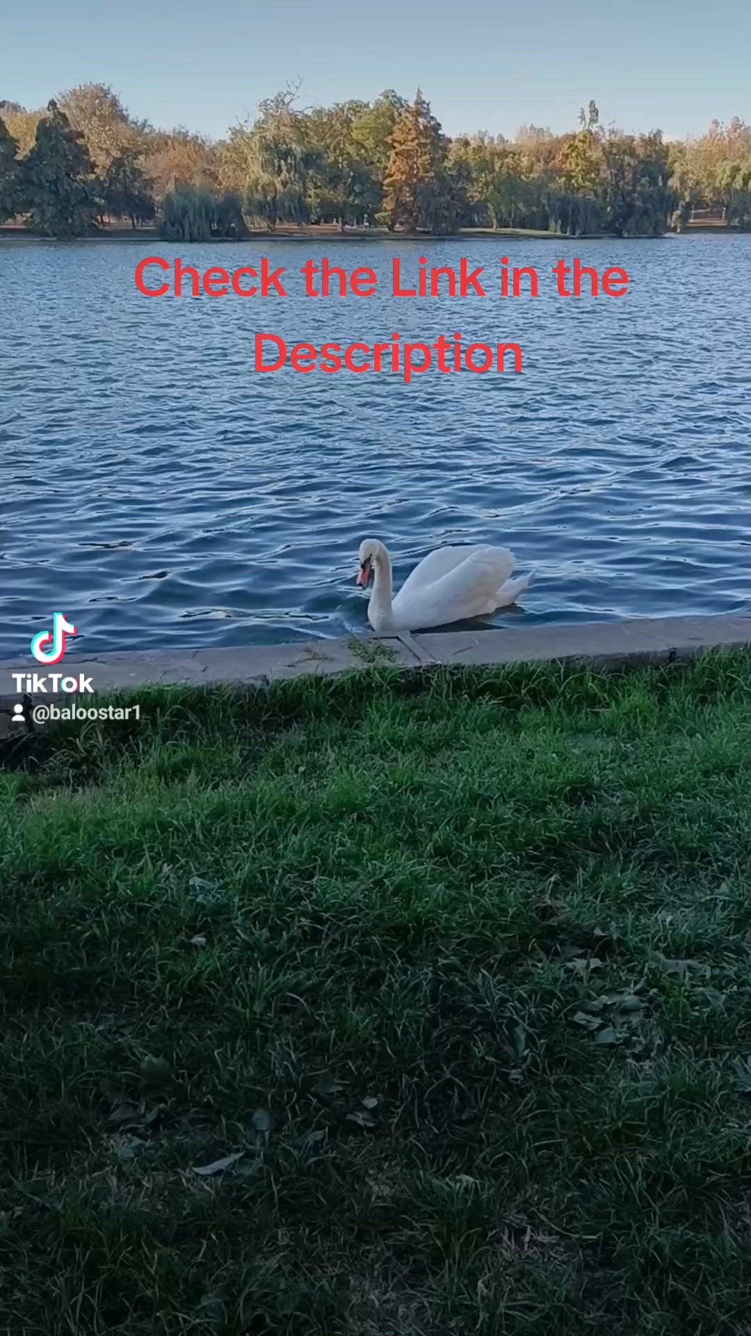 'Video thumbnail for 2023-11-01-174428279'