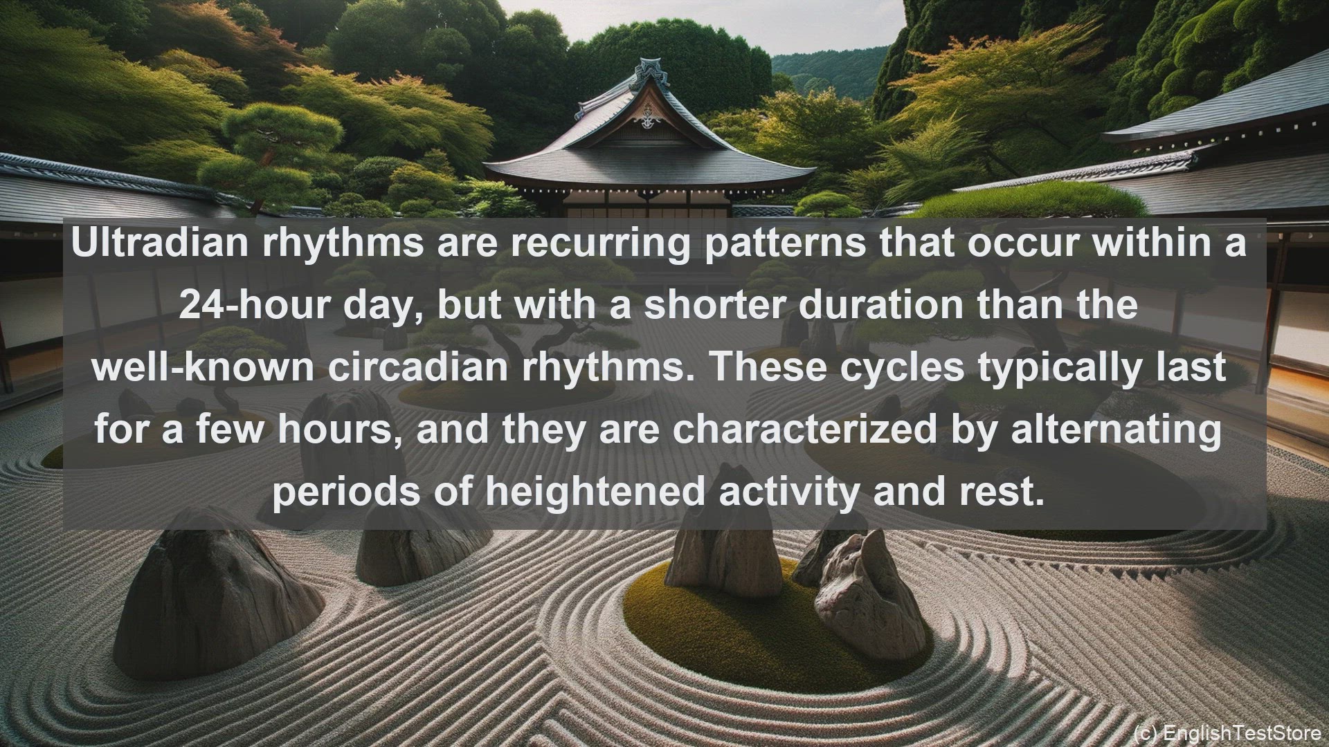 'Video thumbnail for Ultradian rhythm in science  definition and examples'