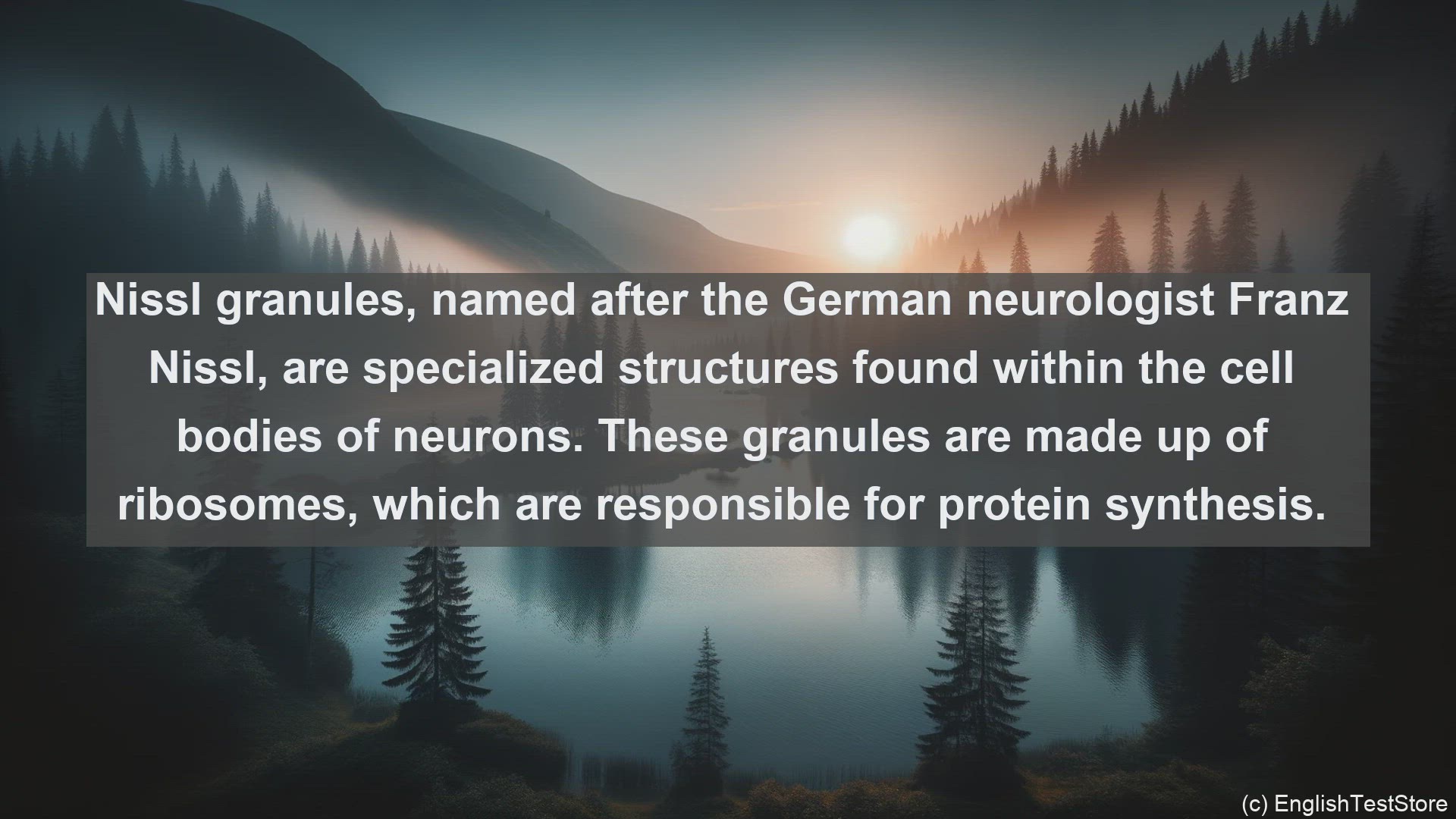 'Video thumbnail for Nissl granules in science  definition and examples'