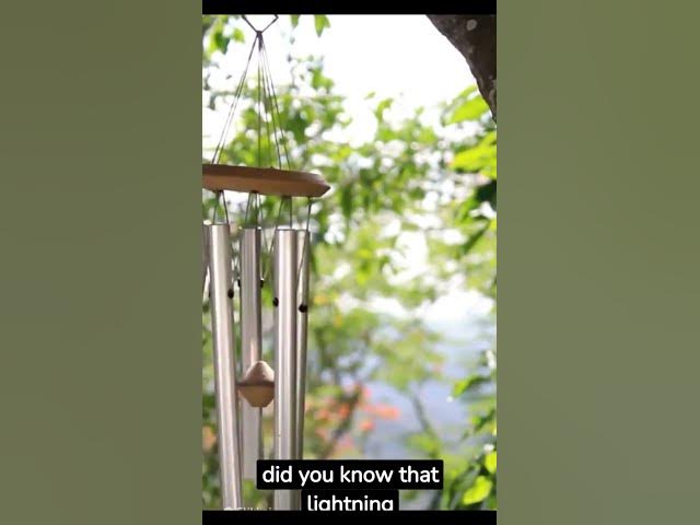 Video thumbnail for 3 Random Science Facts You have to Know