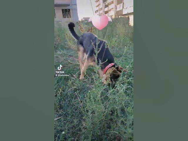 Video thumbnail for 26 august 2023