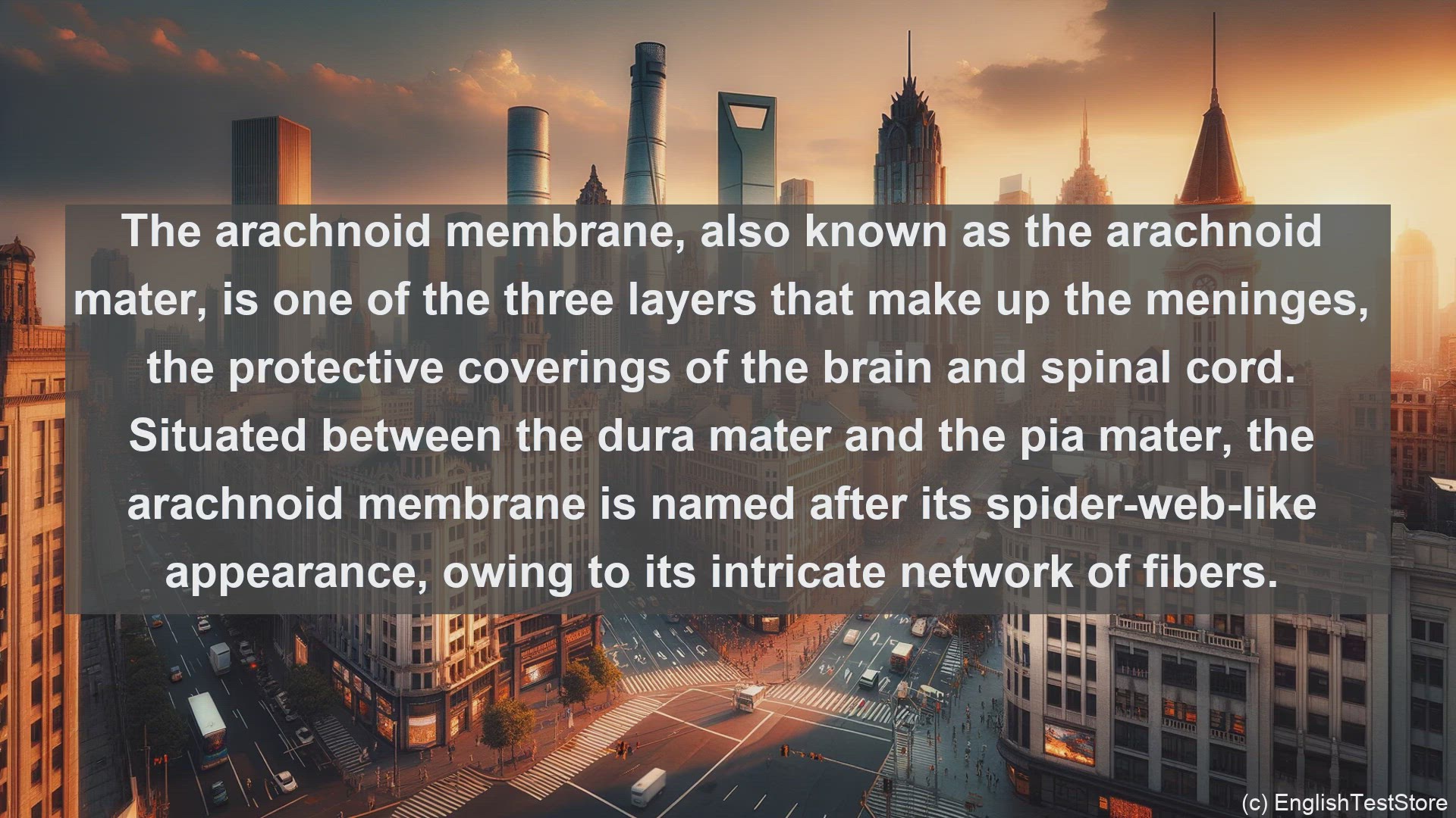 'Video thumbnail for Arachnoid membrane in science  definition and examples'