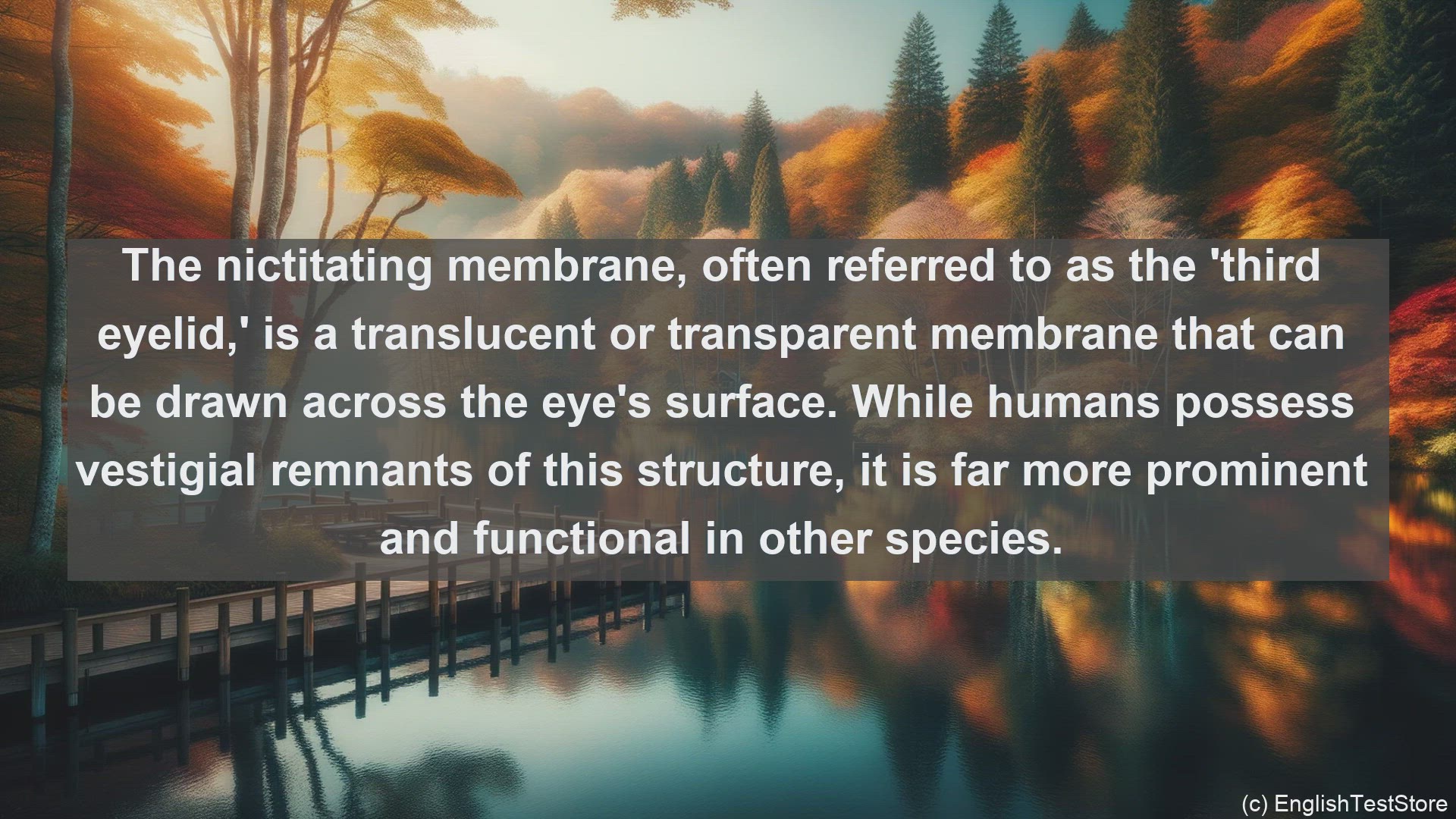 'Video thumbnail for Nictitating membrane in science  definition and examples'