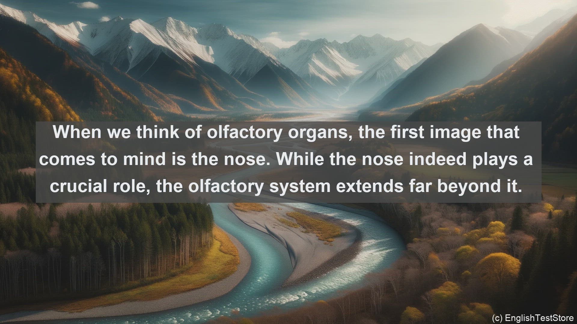 'Video thumbnail for Olfactory organs in science  definition and examples'