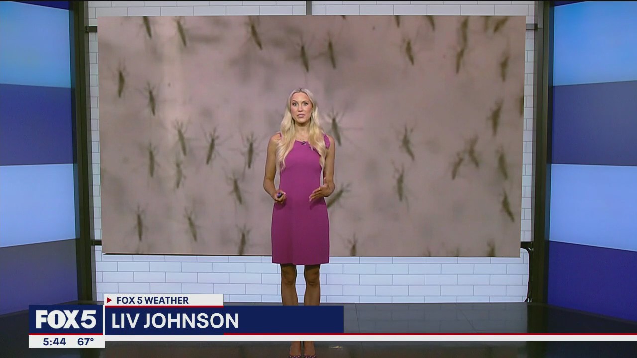 'Video thumbnail for NYC 2025 bug forecast: Mosquitos, ticks, more'
