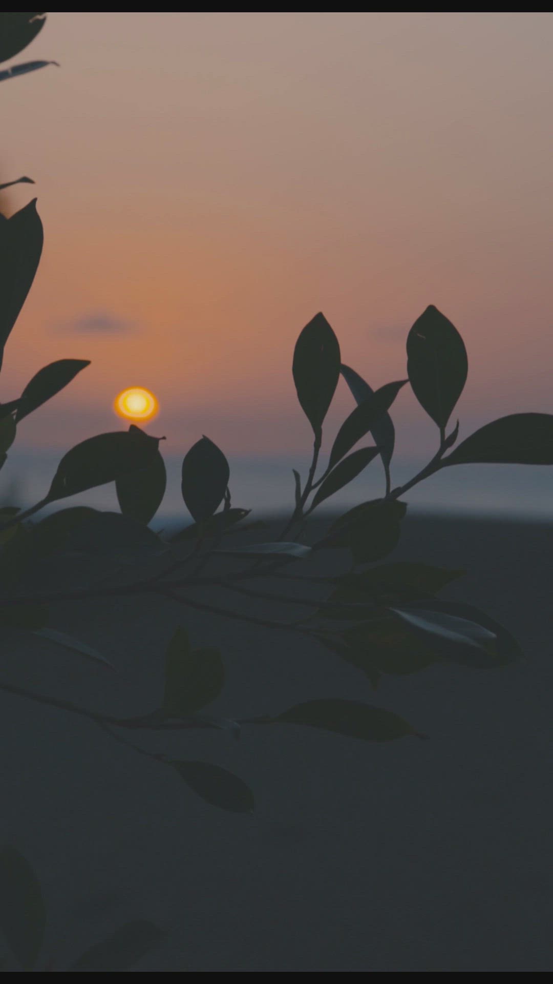 'Video thumbnail for 🙏 Empieza Tu Día con Dios: Oraciones de la Mañana para Fe y Esperanza 🌞 #shorts |Mano sanadora'