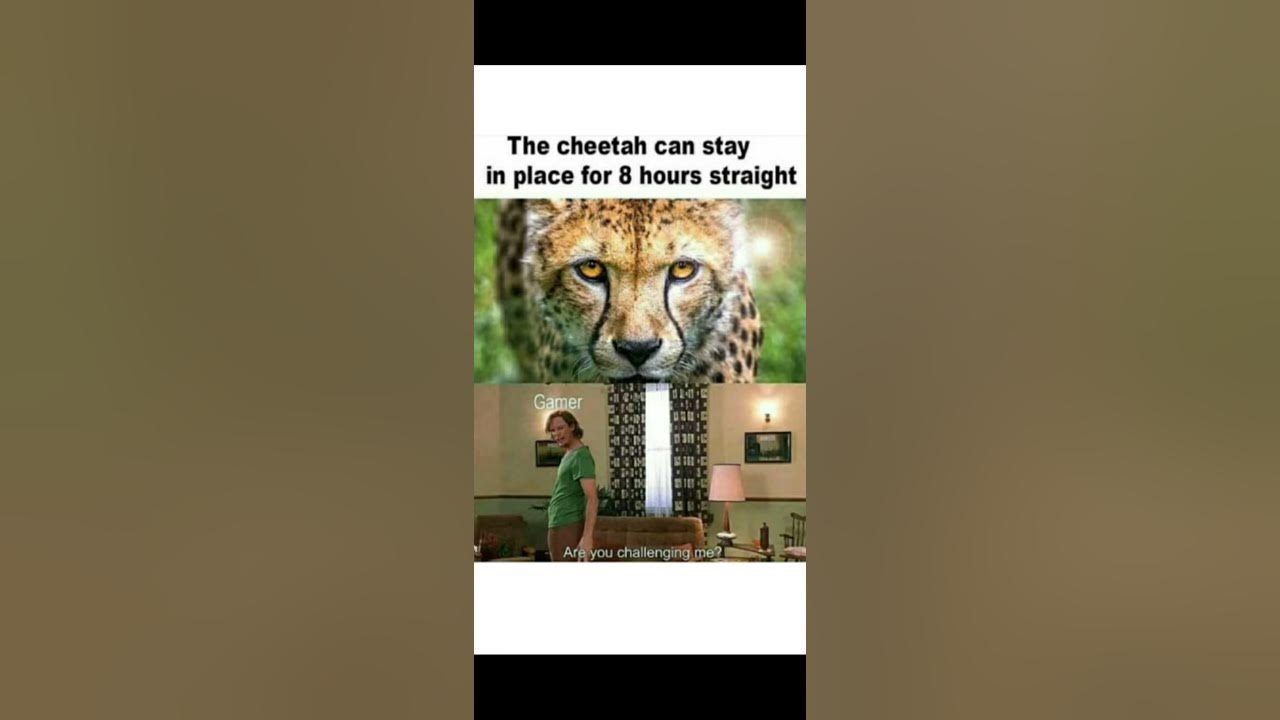'Video thumbnail for Memes only Legends will find funny ,op memes | Relatable memes | #59 #shorts #memes #anonymous #meme'