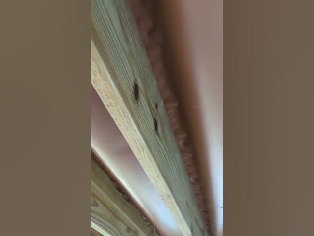 Video thumbnail for Trex RainEscape FAILURE #diy #home #carpentry #trexrainescape