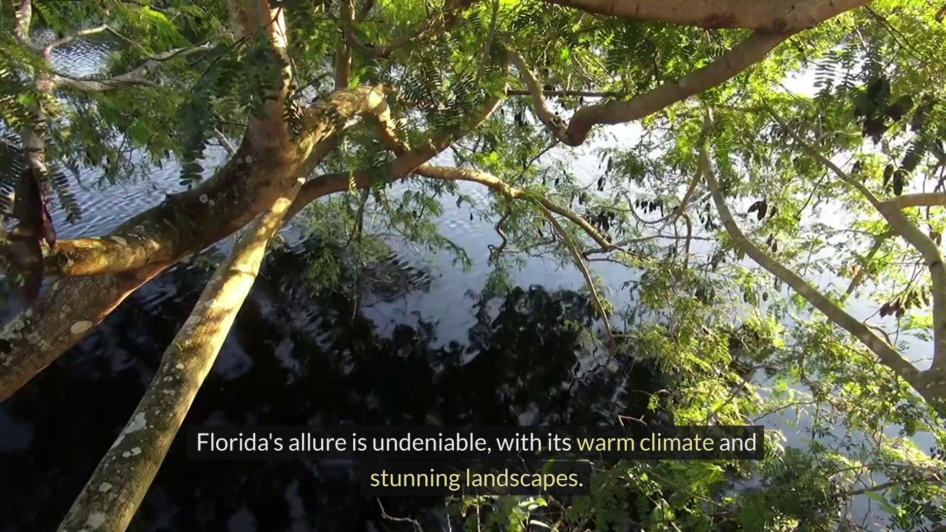 Video thumbnail for Safest Cities for Hurricanes in Florida