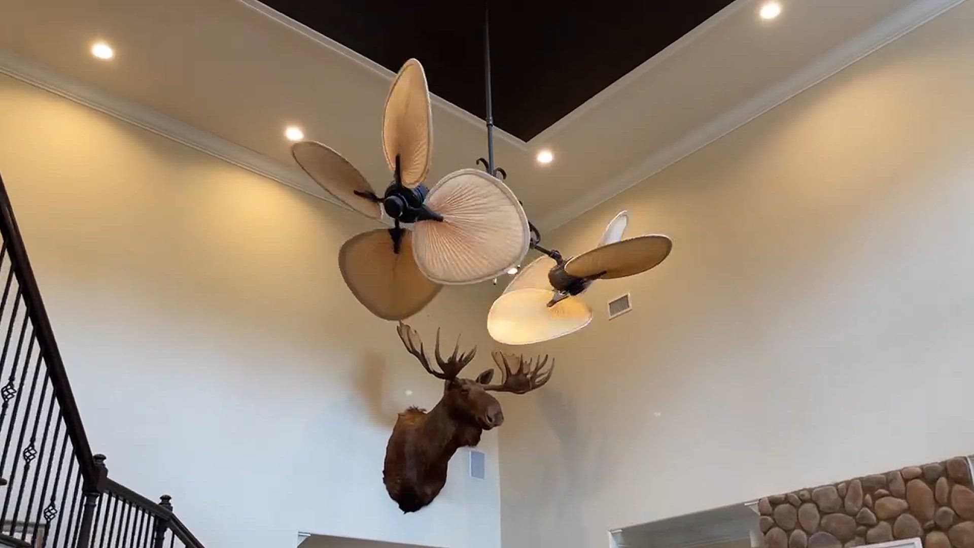 'Video thumbnail for Twin blade fan, super awesome Ceiling Fan'