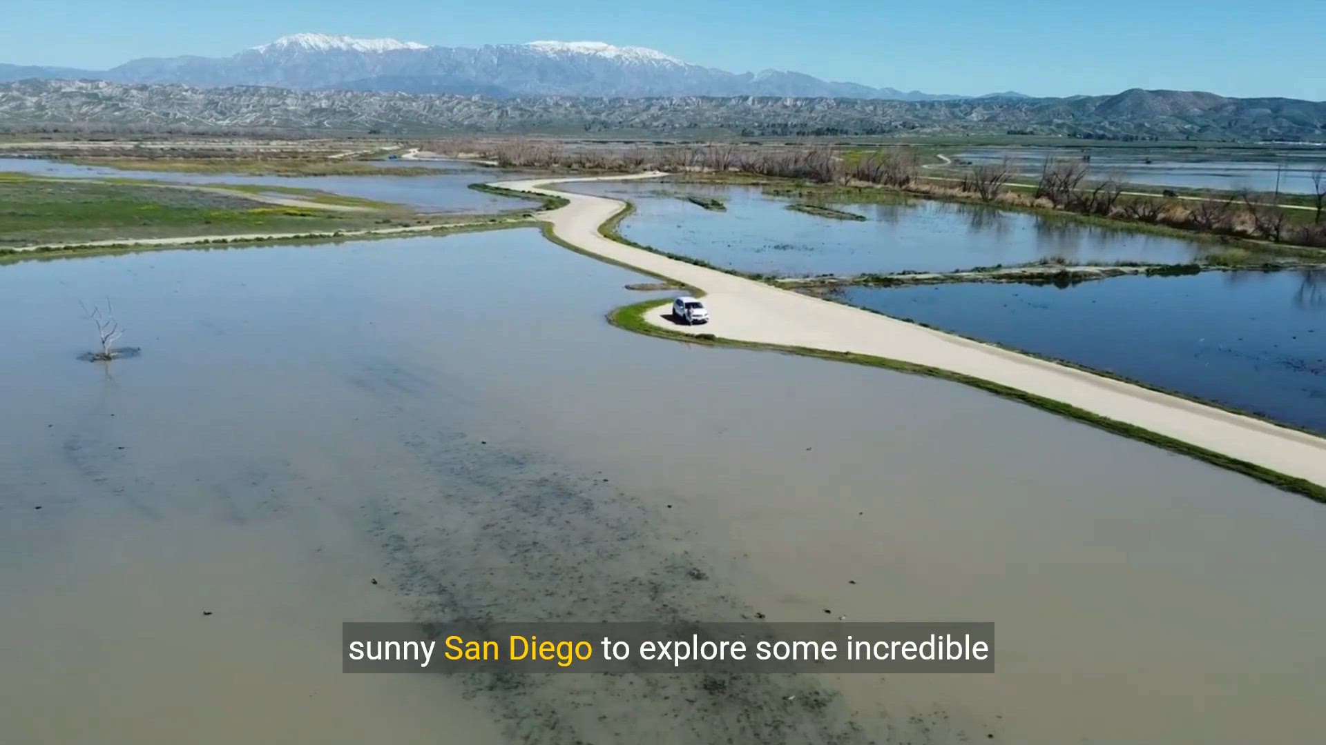 Video thumbnail for Exploring Animal Shelters Near San Diego | Rescue, Rehabilitate, and Support