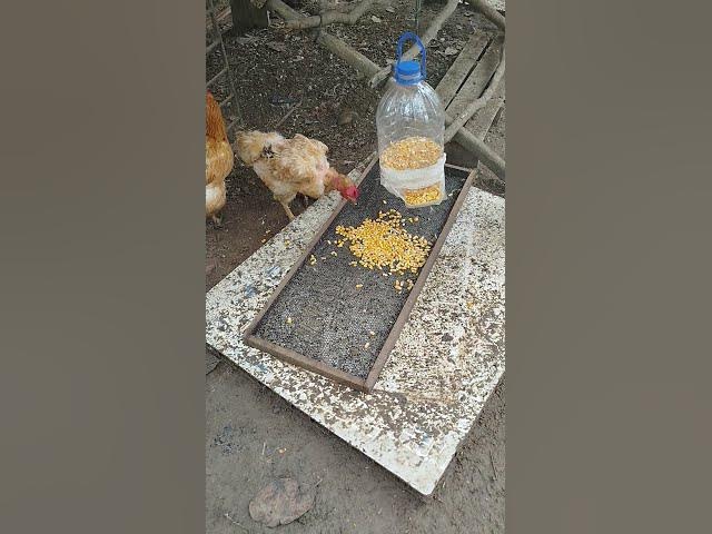 Video thumbnail for 7 de outubro de 2025