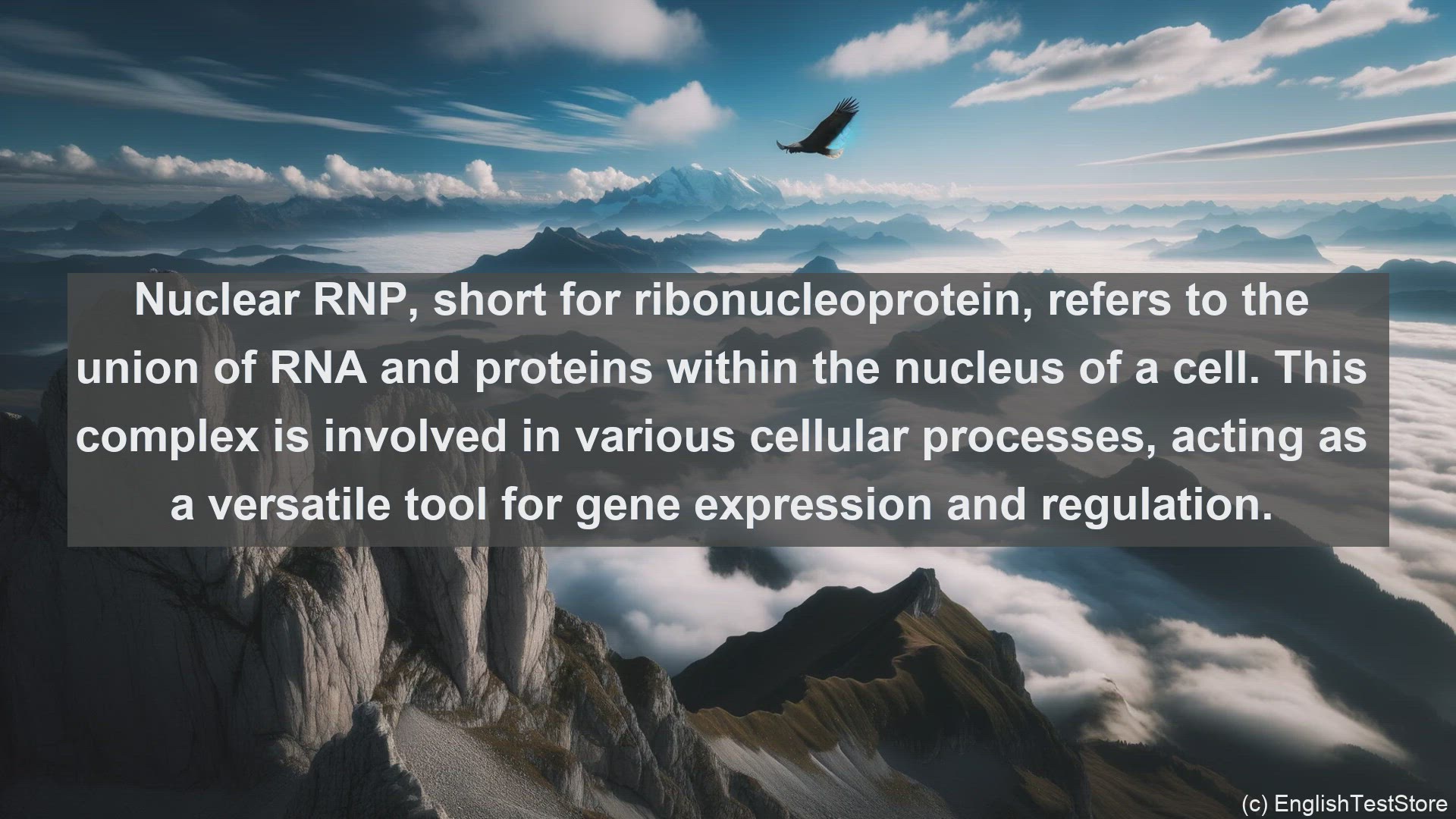 'Video thumbnail for Nuclear rnp in science  definition and examples'