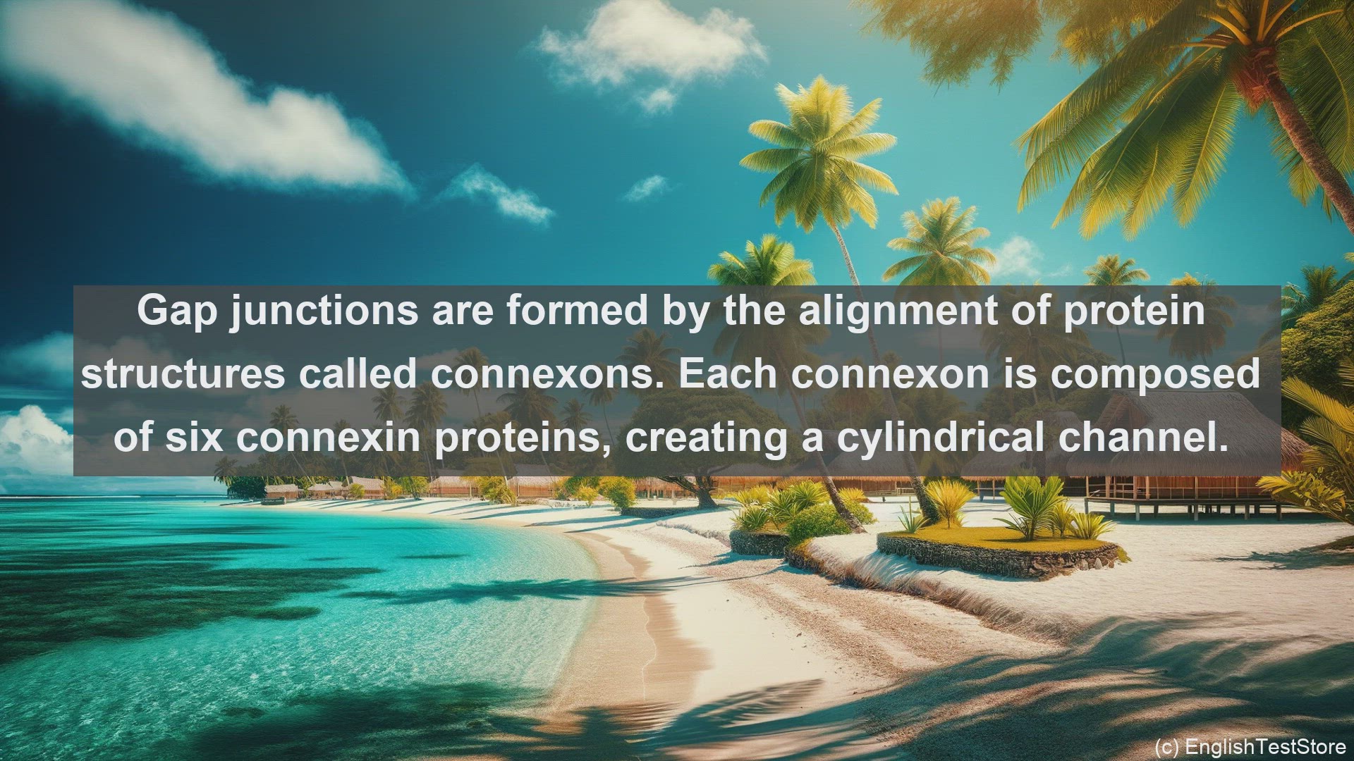 'Video thumbnail for Gap junctions in science  definition and examples'
