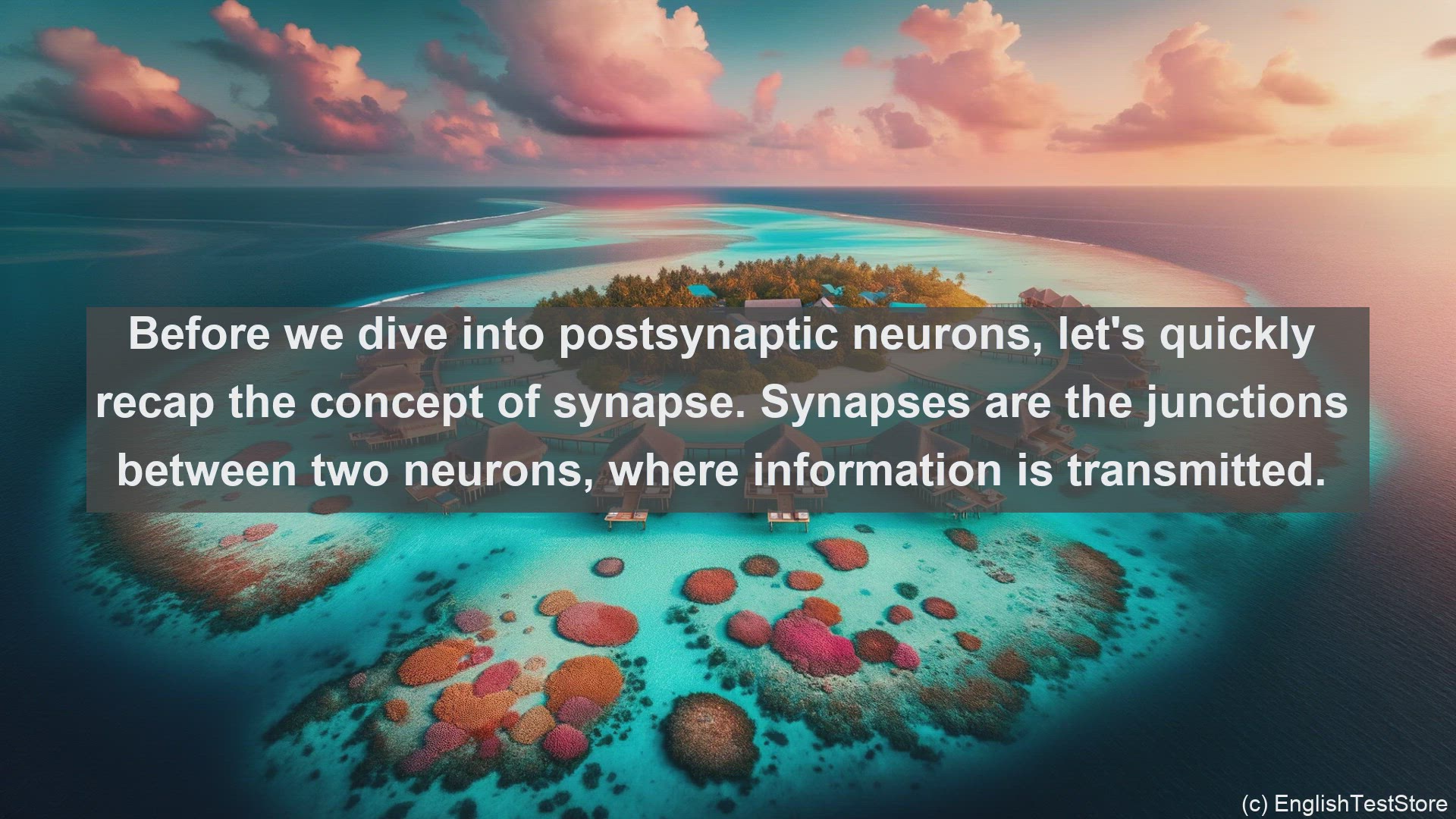 'Video thumbnail for Postsynaptic neuron in science  definition and examples'
