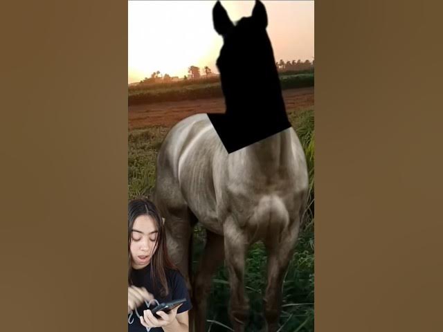 Video thumbnail for Reto imposible #entretenimiento #desafiosmentales #retosvirales