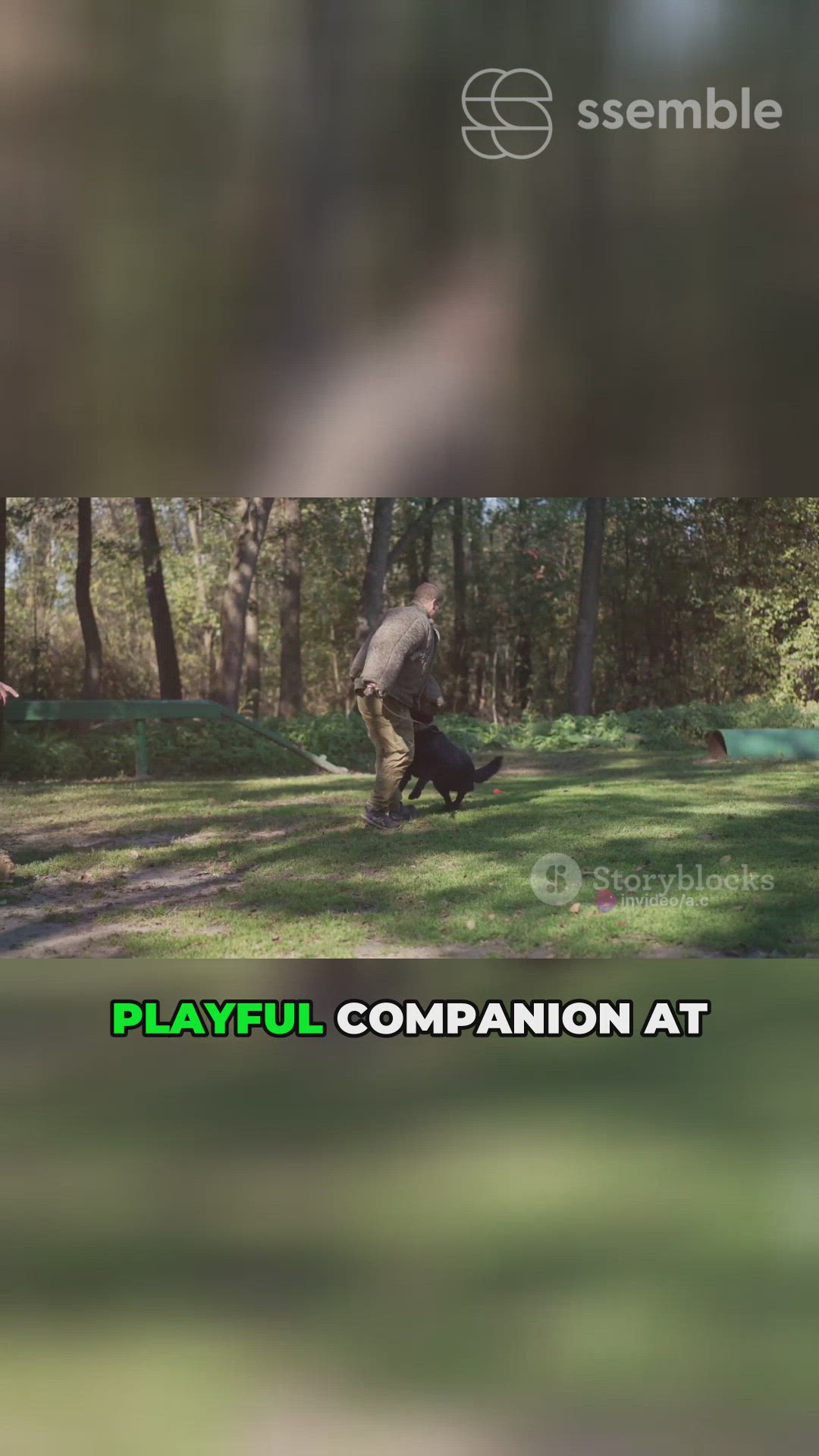 'Video thumbnail for DualPurpose Pooches'