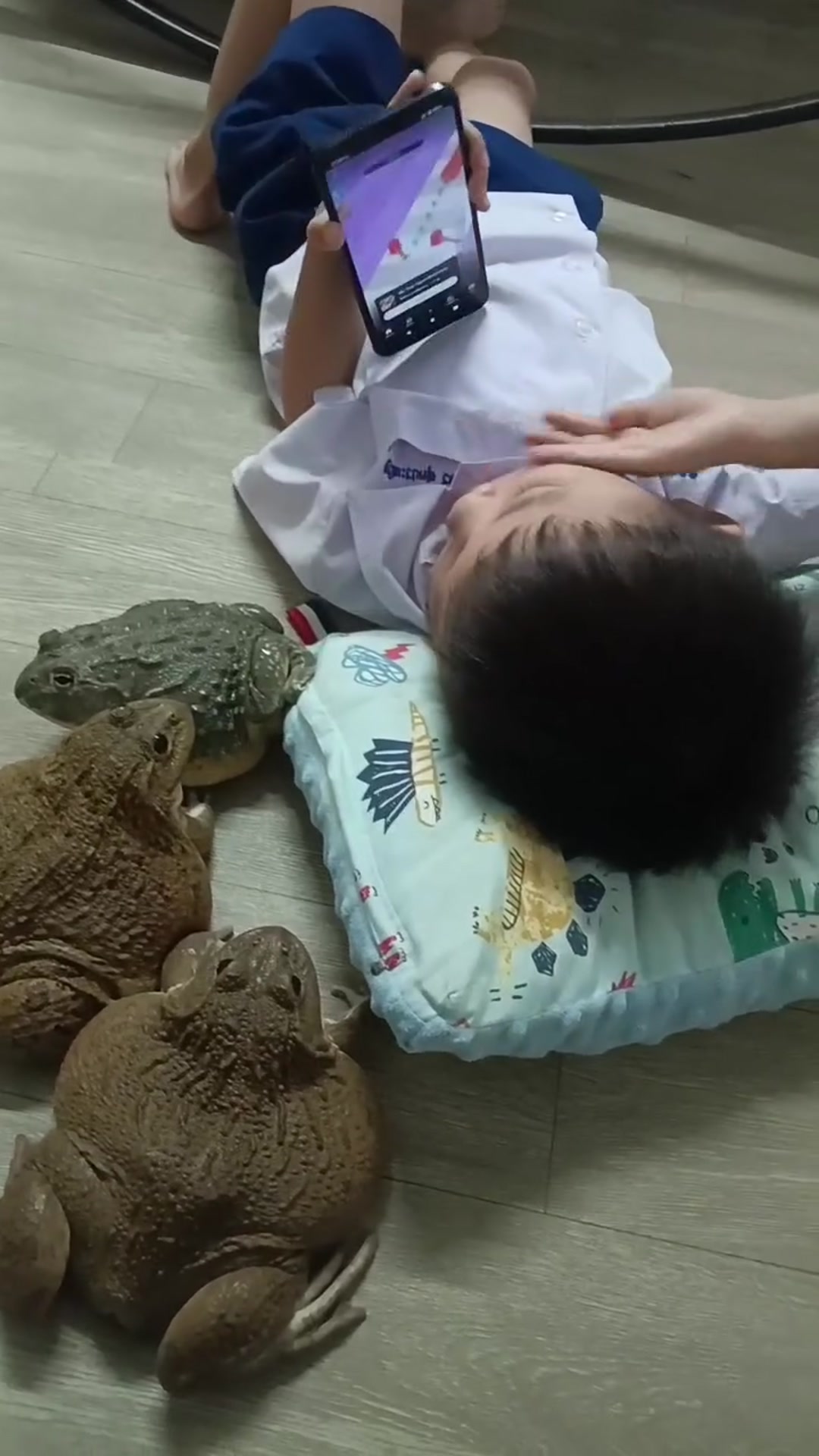 Video thumbnail for Os pets do meu filho 😂