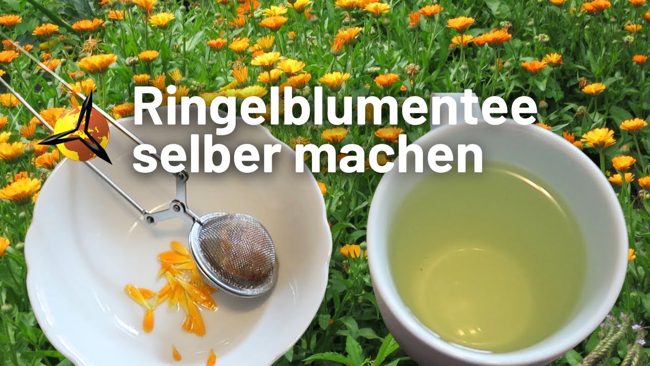 'Video thumbnail for Ringelblumentee selber machen'