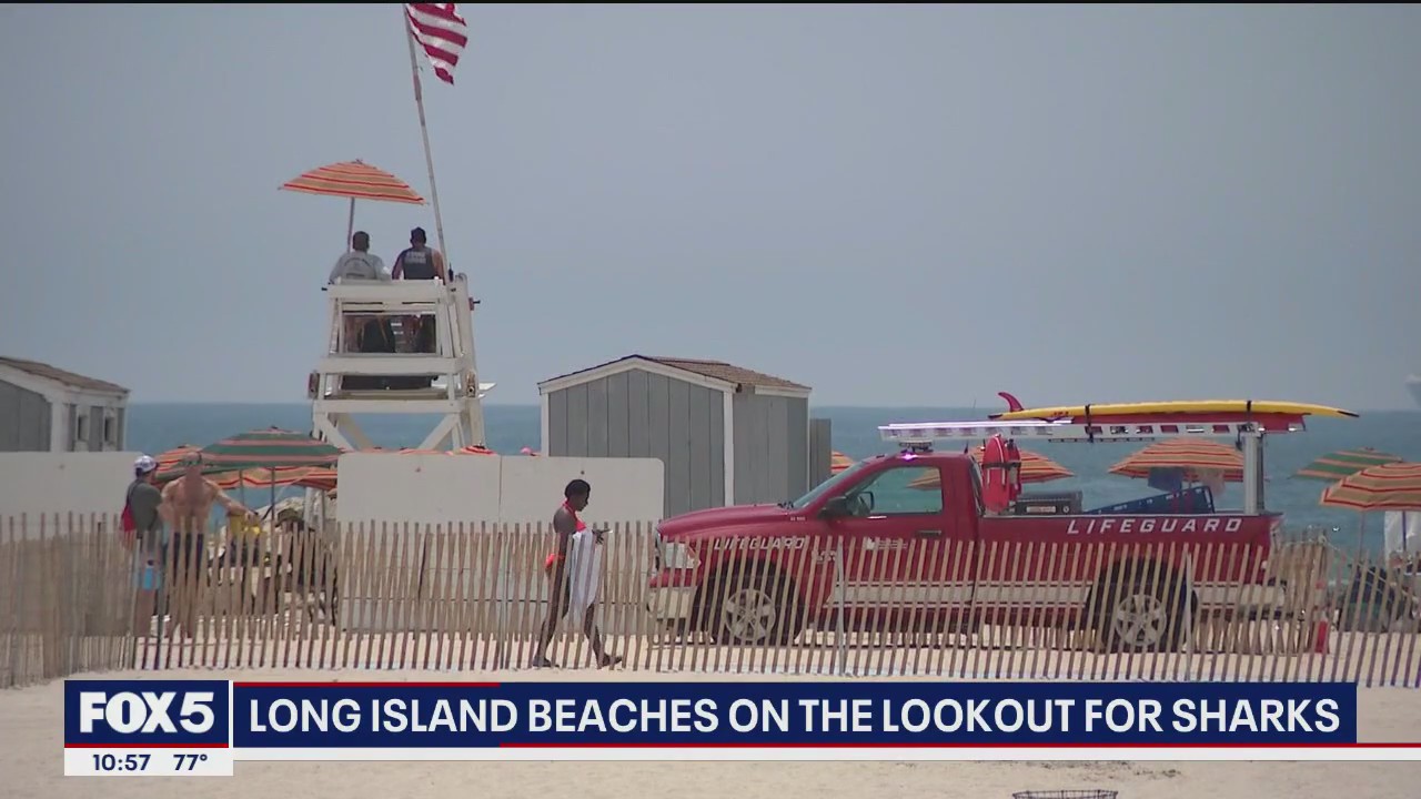 'Video thumbnail for Long Island beaches on the lookout for sharks'
