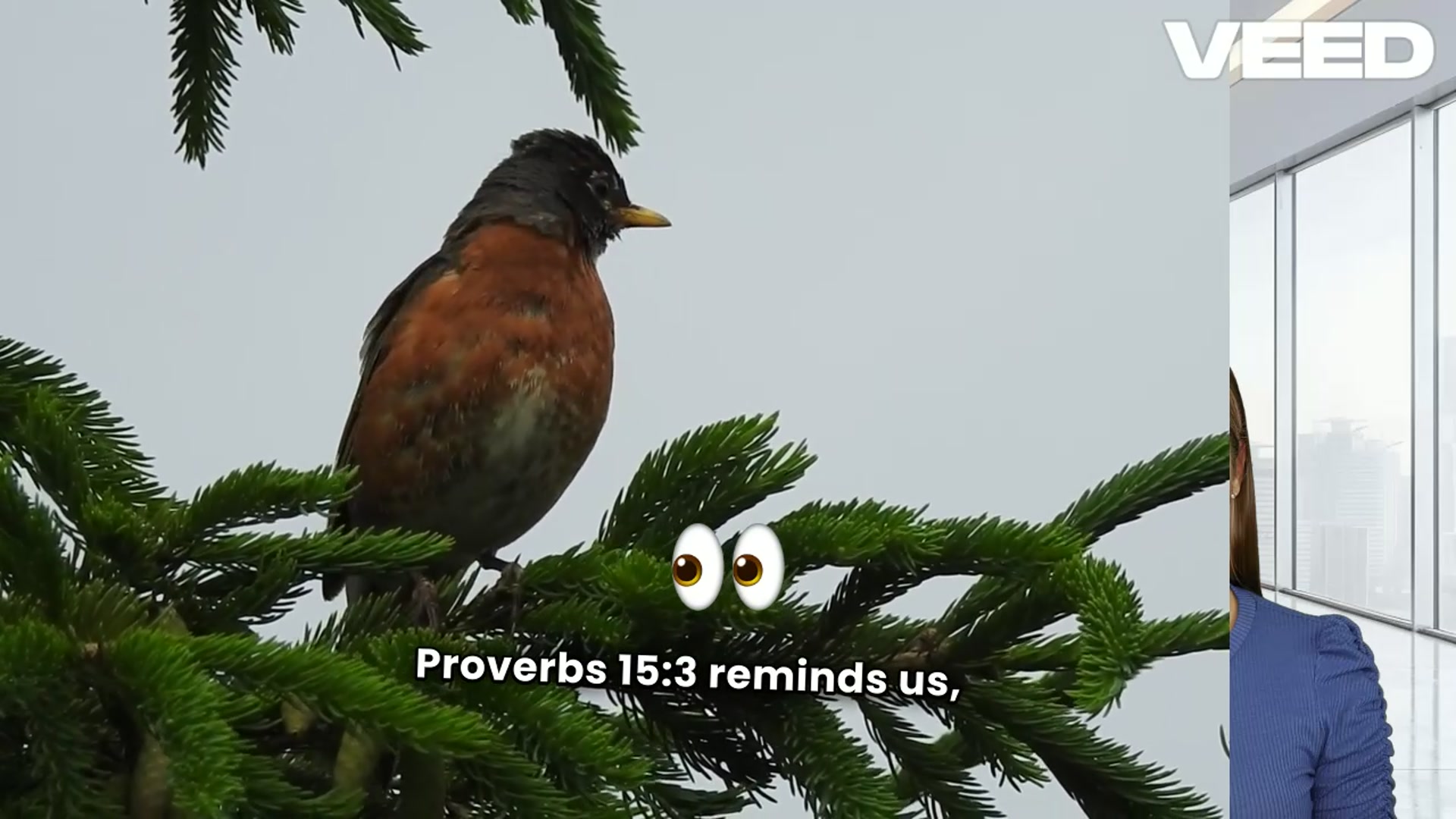 'Video thumbnail for 20 Powerful Biblical Meanings of Hawks'