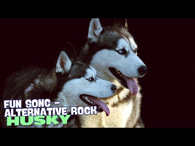 Video thumbnail for Husky Blues πΆπΊ